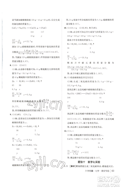 新疆青少年出版社2023升学锦囊九年级全一册化学泰安专版参考答案