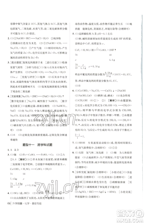 新疆青少年出版社2023升学锦囊九年级全一册化学泰安专版参考答案