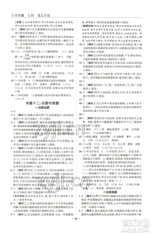 新疆青少年出版社2023升学锦囊九年级全一册生物青岛专版参考答案