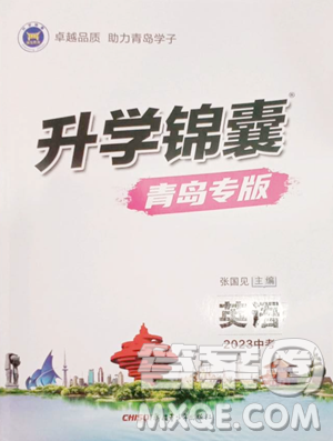 新疆青少年出版社2023升学锦囊九年级全一册英语青岛专版参考答案