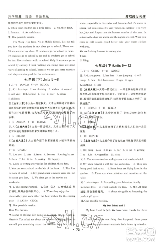 新疆青少年出版社2023升学锦囊九年级全一册英语青岛专版参考答案