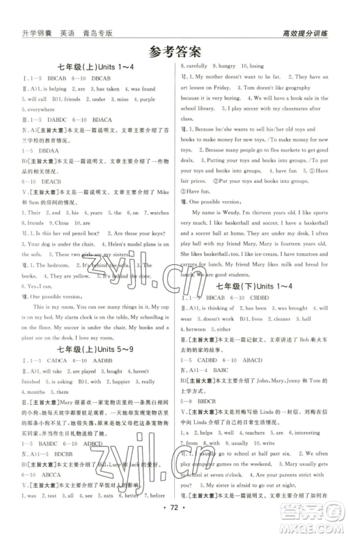 新疆青少年出版社2023升学锦囊九年级全一册英语青岛专版参考答案