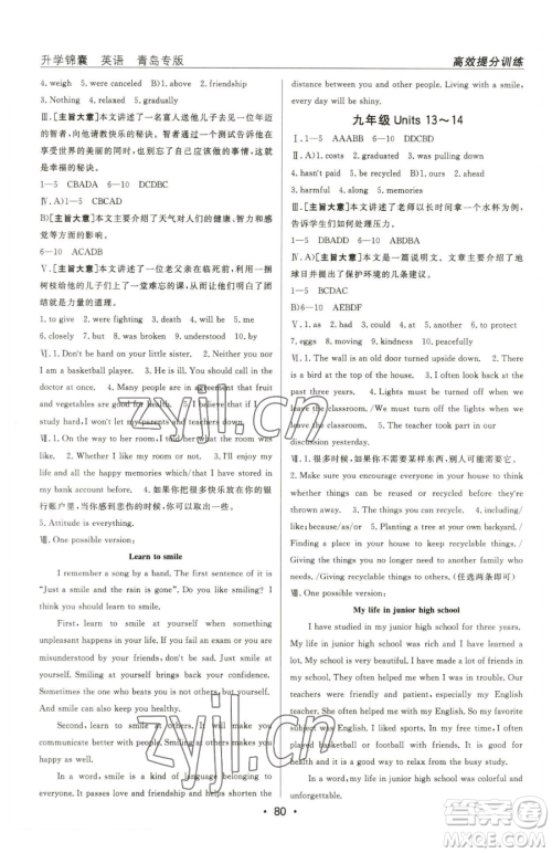 新疆青少年出版社2023升学锦囊九年级全一册英语青岛专版参考答案