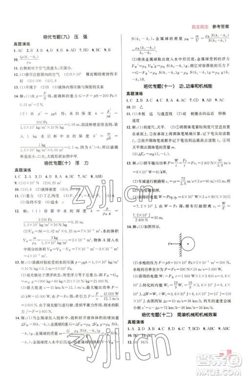 新疆青少年出版社2023升学锦囊九年级全一册物理青岛专版参考答案