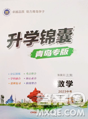 新疆青少年出版社2023升学锦囊九年级全一册数学青岛专版参考答案