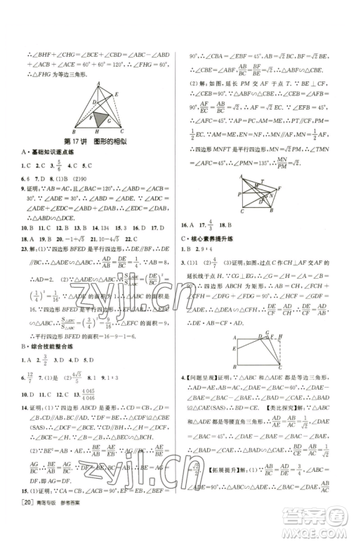 新疆青少年出版社2023升学锦囊九年级全一册数学青岛专版参考答案