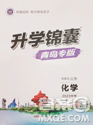 新疆青少年出版社2023升学锦囊九年级全一册化学青岛专版参考答案 新疆青少年出版社2023升学锦囊九年级全一册化学青岛专版参考答案