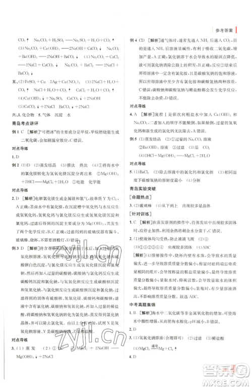 新疆青少年出版社2023升学锦囊九年级全一册化学青岛专版参考答案 新疆青少年出版社2023升学锦囊九年级全一册化学青岛专版参考答案