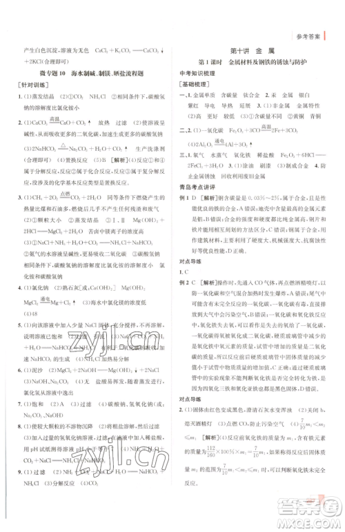 新疆青少年出版社2023升学锦囊九年级全一册化学青岛专版参考答案