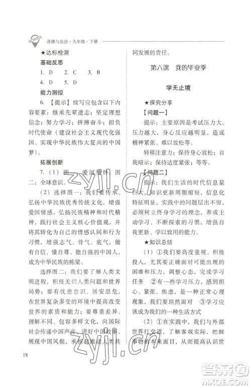 山西教育出版社2023新课程问题解决导学方案九年级下册道德与法治人教版参考答案
