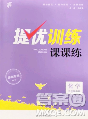 南京大学出版社2023提优训练课课练九年级下册化学沪教版徐州专版参考答案