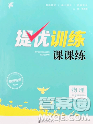 南京大学出版社2023提优训练课课练八年级下册物理苏科版徐州专版参考答案