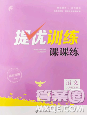 南京大学出版社2023提优训练课课练九年级下册语文人教版徐州专版参考答案