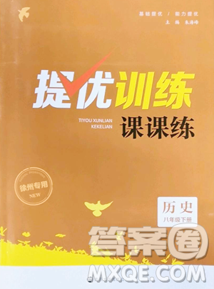 南京大学出版社2023提优训练课课练八年级下册历史人教版徐州专版参考答案