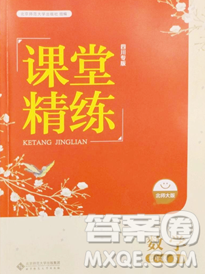 北京师范大学出版社2023课堂精练七年级下册数学北师大版四川专版参考答案