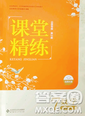 北京师范大学出版社2023课堂精练七年级下册数学北师大版山西专版参考答案