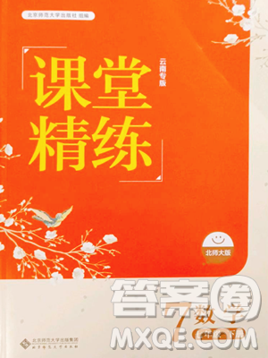 北京师范大学出版社2023课堂精练七年级下册数学北师大版云南专版参考答案