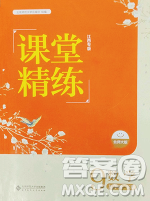 北京师范大学出版社2023课堂精练九年级下册数学北师大版江西专版参考答案