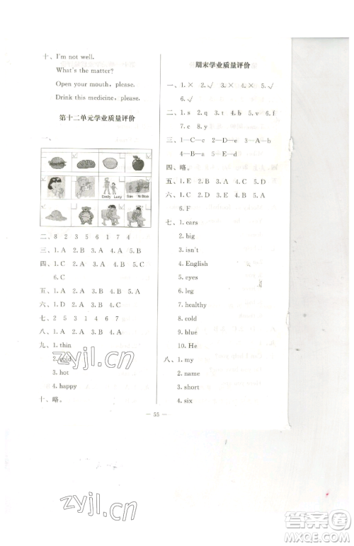 北京师范大学出版社2023课堂精练四年级下册英语北师大版三起参考答案