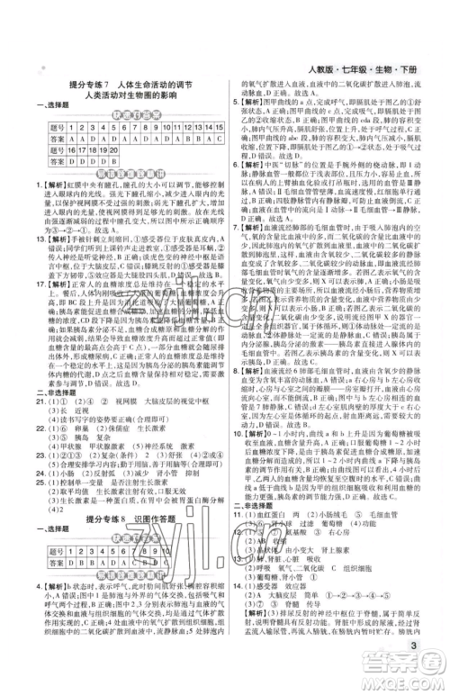 阳光出版社2023期末考试必刷卷七年级下册生物人教版河南专版参考答案