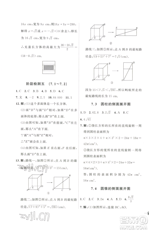 吉林教育出版社2023优+学案课时通九年级下册数学青岛版参考答案