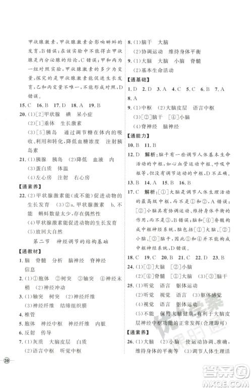 吉林教育出版社2023优+学案课时通七年级下册生物济南版参考答案 吉林教育出版社2023优+学案课时通七年级下册生物济南版参考答案