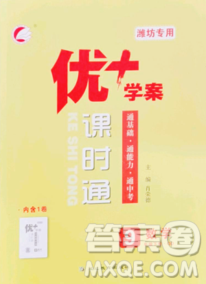 延边教育出版社2023优+学案课时通九年级下册数学青岛版潍坊专版参考答案