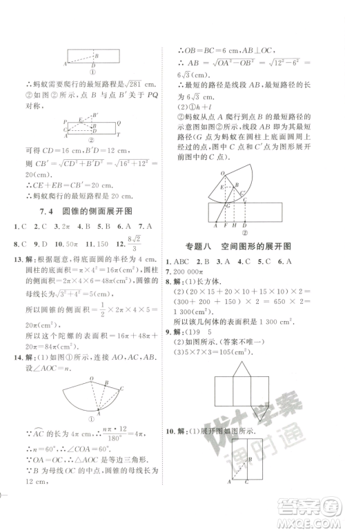 延边教育出版社2023优+学案课时通九年级下册数学青岛版潍坊专版参考答案