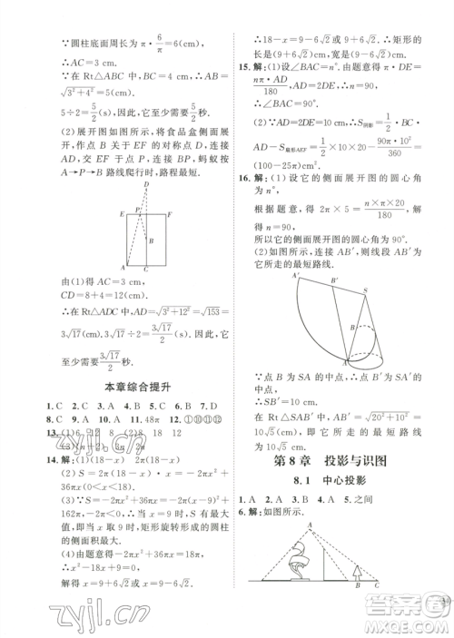 延边教育出版社2023优+学案课时通九年级下册数学青岛版潍坊专版参考答案