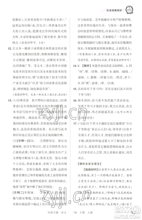 江西人民出版社2023王朝霞各地期末试卷精选八年级下册语文人教版河南专版参考答案