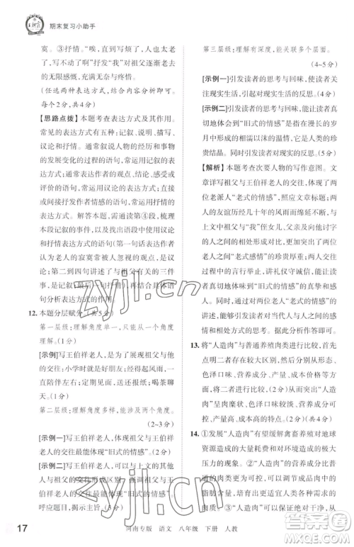 江西人民出版社2023王朝霞各地期末试卷精选八年级下册语文人教版河南专版参考答案