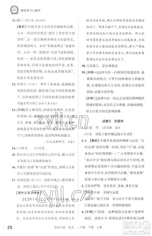 江西人民出版社2023王朝霞各地期末试卷精选八年级下册语文人教版河南专版参考答案