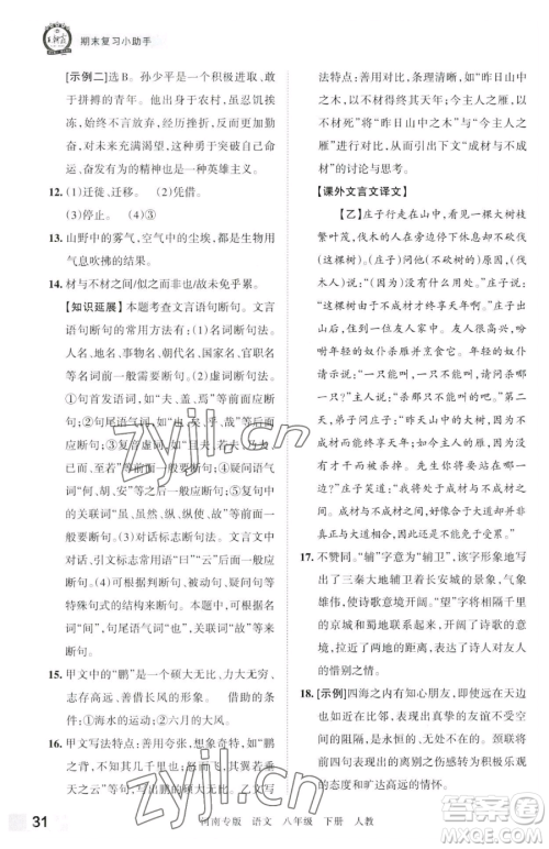 江西人民出版社2023王朝霞各地期末试卷精选八年级下册语文人教版河南专版参考答案