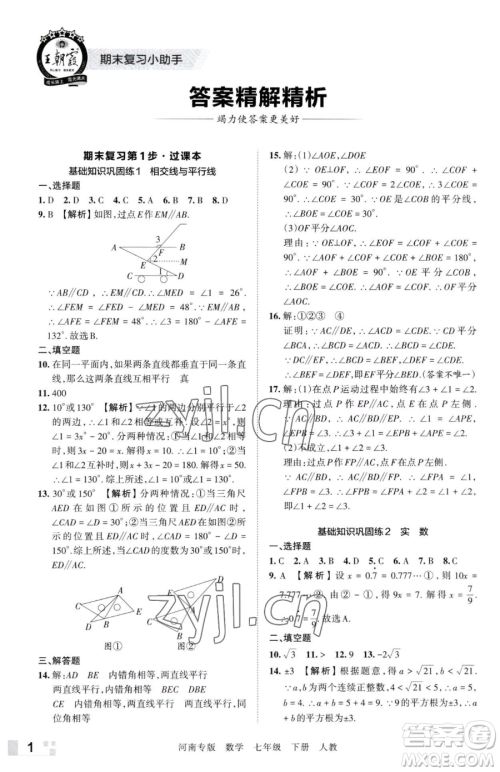 江西人民出版社2023王朝霞各地期末试卷精选七年级下册数学人教版河南专版参考答案