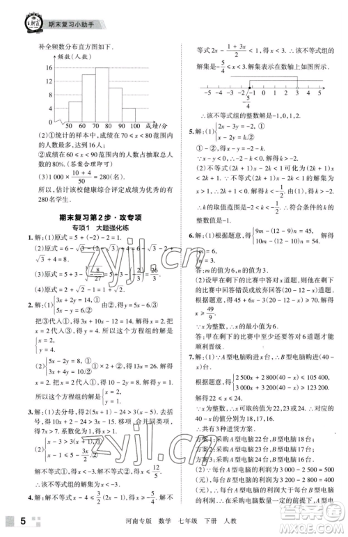 江西人民出版社2023王朝霞各地期末试卷精选七年级下册数学人教版河南专版参考答案