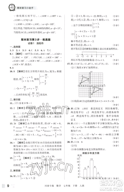 江西人民出版社2023王朝霞各地期末试卷精选七年级下册数学人教版河南专版参考答案