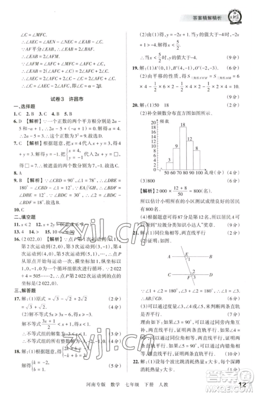 江西人民出版社2023王朝霞各地期末试卷精选七年级下册数学人教版河南专版参考答案