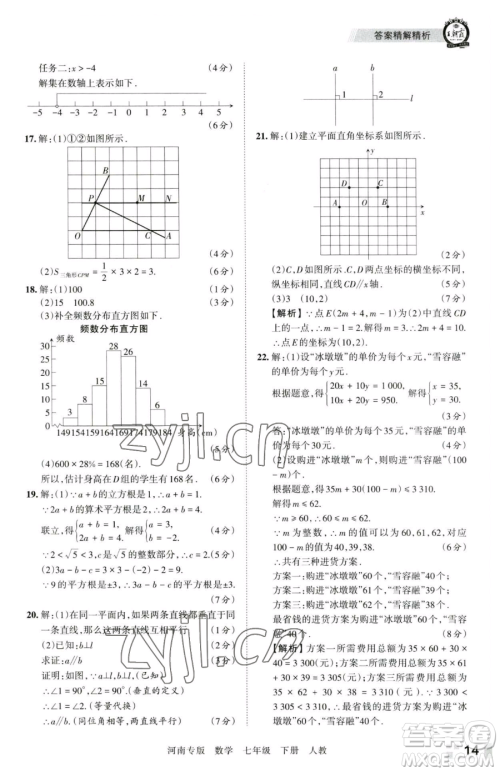 江西人民出版社2023王朝霞各地期末试卷精选七年级下册数学人教版河南专版参考答案