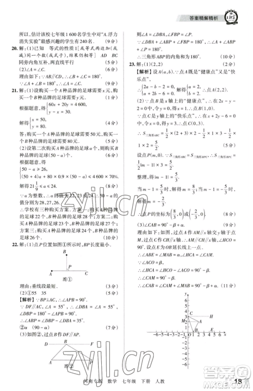 江西人民出版社2023王朝霞各地期末试卷精选七年级下册数学人教版河南专版参考答案