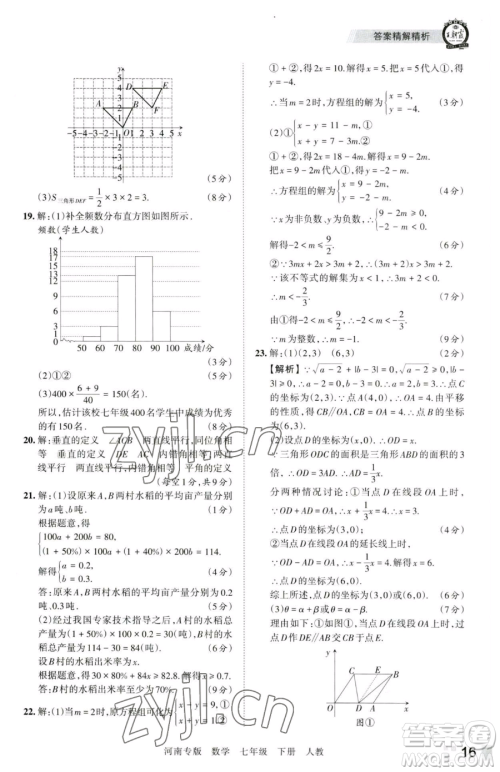 江西人民出版社2023王朝霞各地期末试卷精选七年级下册数学人教版河南专版参考答案