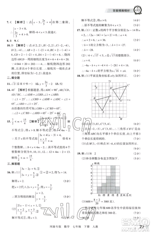 江西人民出版社2023王朝霞各地期末试卷精选七年级下册数学人教版河南专版参考答案