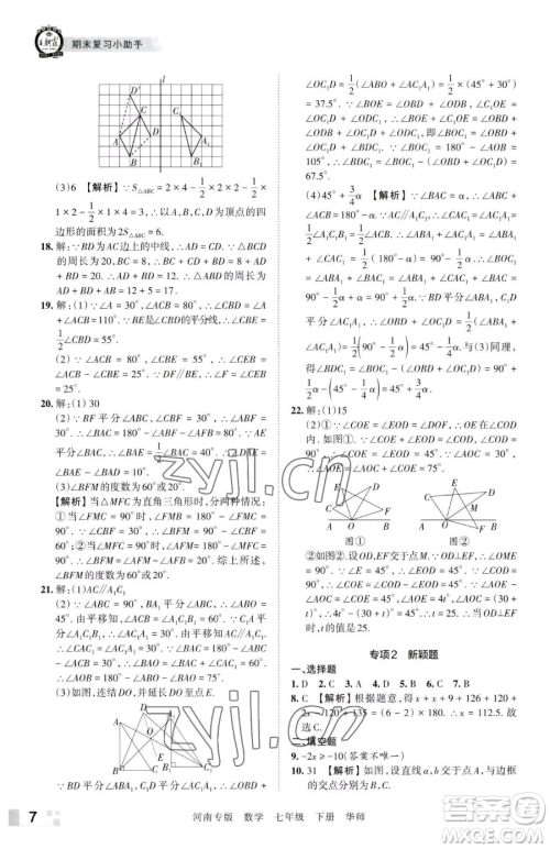 江西人民出版社2023王朝霞各地期末试卷精选七年级下册数学华师大版南专版参考答案