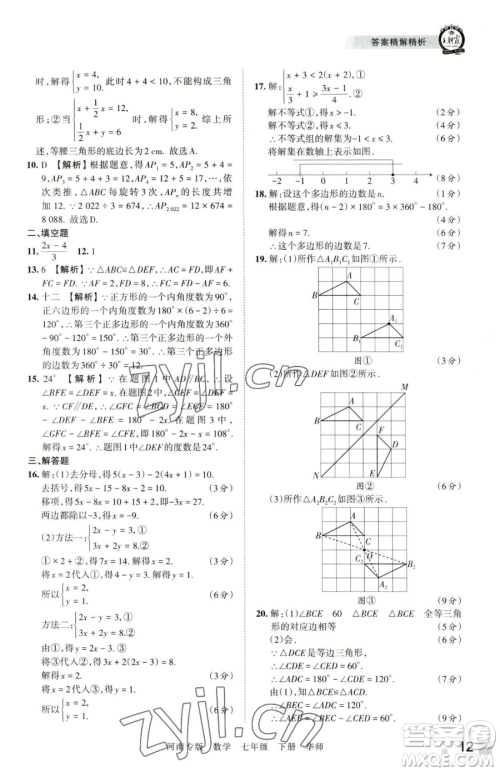 江西人民出版社2023王朝霞各地期末试卷精选七年级下册数学华师大版南专版参考答案