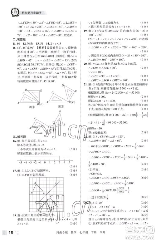 江西人民出版社2023王朝霞各地期末试卷精选七年级下册数学华师大版南专版参考答案