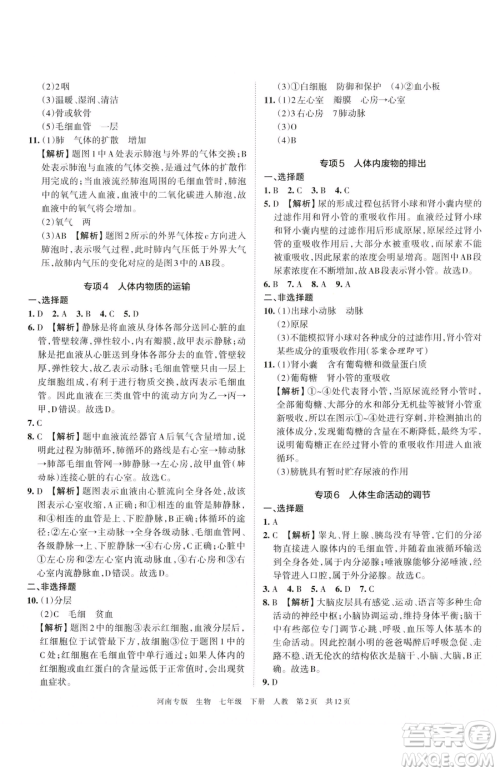 江西人民出版社2023王朝霞各地期末试卷精选七年级下册生物人教版河南专版参考答案