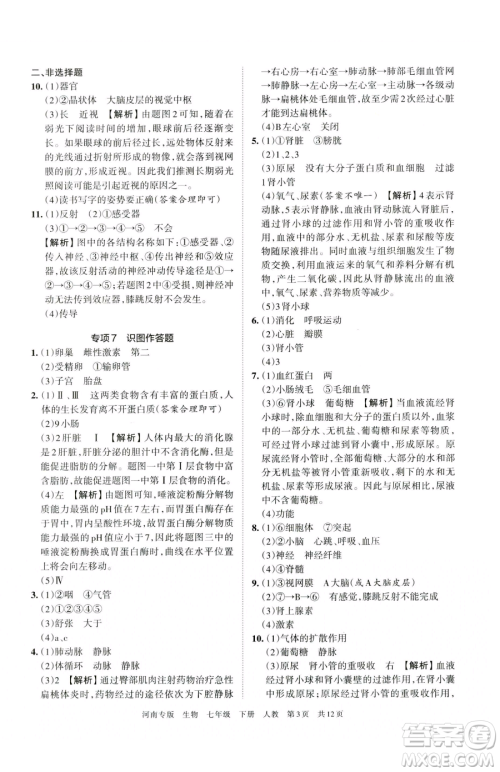江西人民出版社2023王朝霞各地期末试卷精选七年级下册生物人教版河南专版参考答案 江西人民出版社2023王朝霞各地期末试卷精选七年级下册生物人教版河南专版参考答案