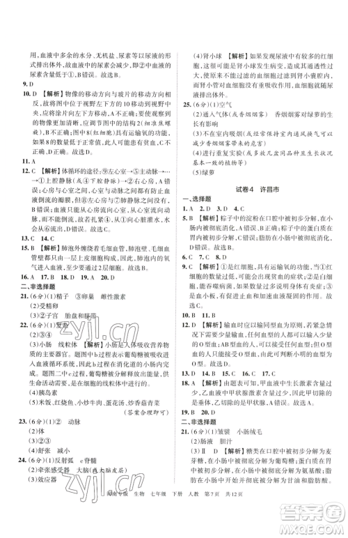 江西人民出版社2023王朝霞各地期末试卷精选七年级下册生物人教版河南专版参考答案