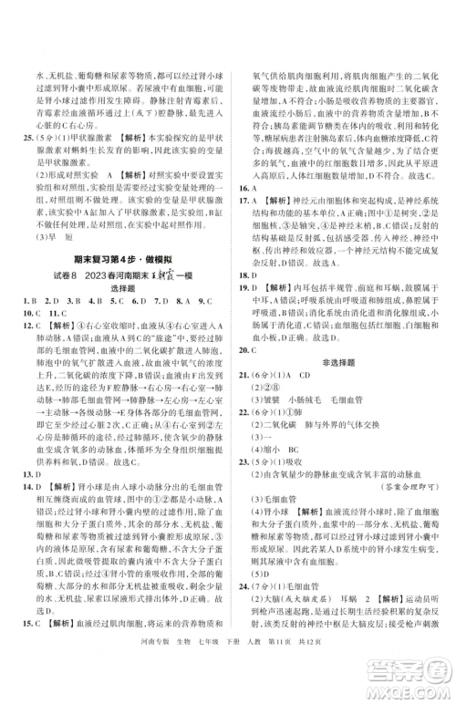 江西人民出版社2023王朝霞各地期末试卷精选七年级下册生物人教版河南专版参考答案