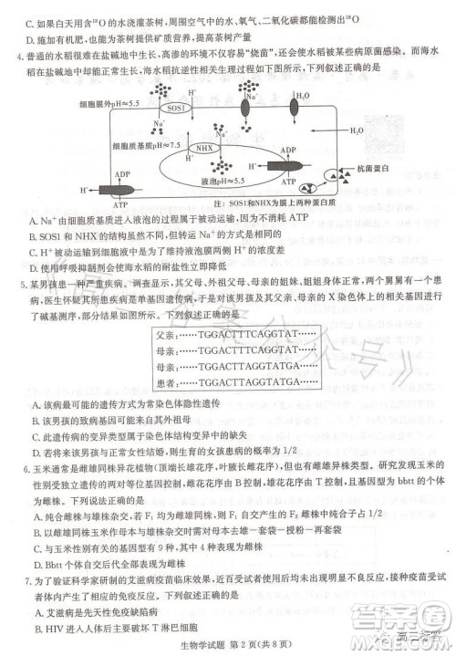 名校联考联合体2023年春季高二期末联考暨新高三适应性联合考试生物学试卷答案 名校联考联合体2023年春季高二期末联考暨新高三适应性联合考试生物学试卷答案