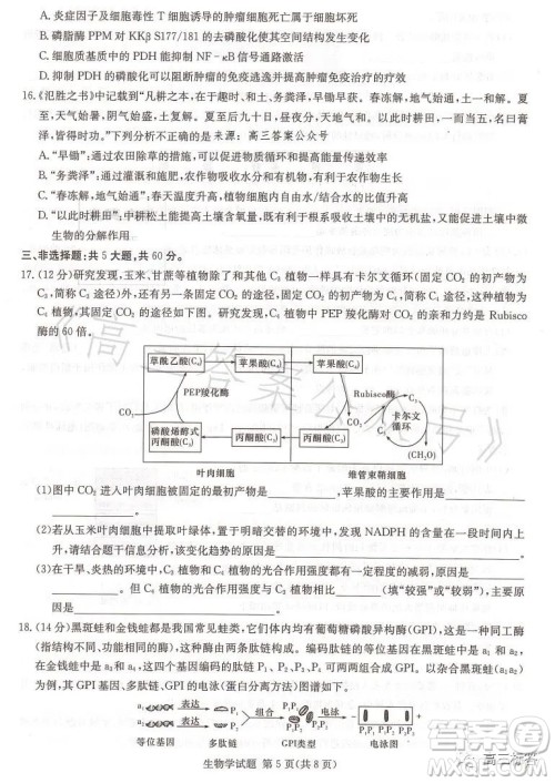 名校联考联合体2023年春季高二期末联考暨新高三适应性联合考试生物学试卷答案 名校联考联合体2023年春季高二期末联考暨新高三适应性联合考试生物学试卷答案